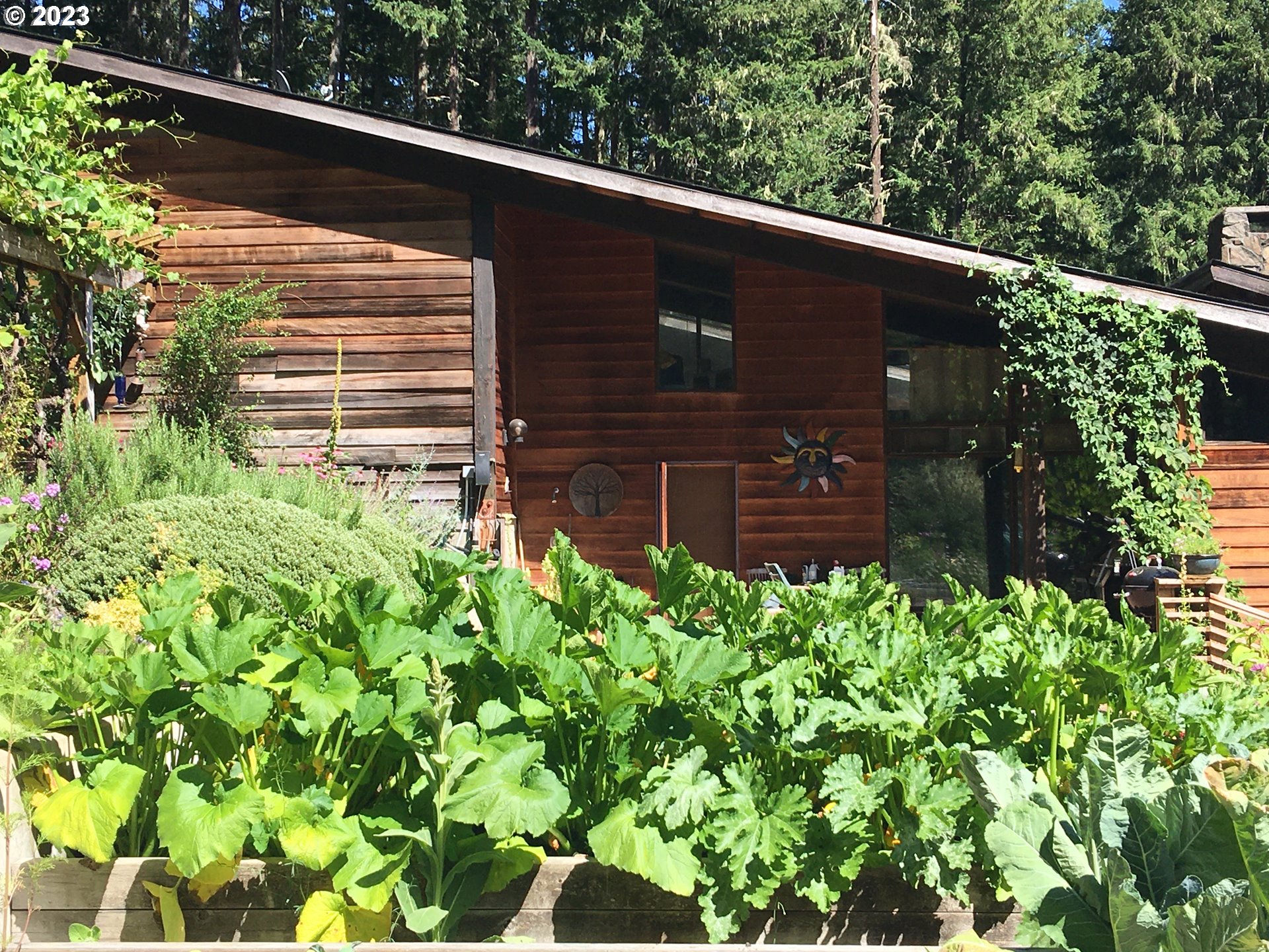 27313 Briggs Hill Road Eugene, OR 97405 - Photo 47 of 48 a view of a yard with plants
