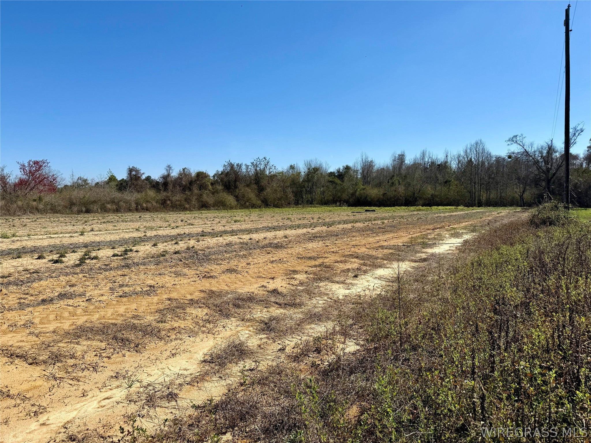 2.5-acres Garrett Road Ashford, AL 36312 - Photo 6 of 9 Gallery Image 6