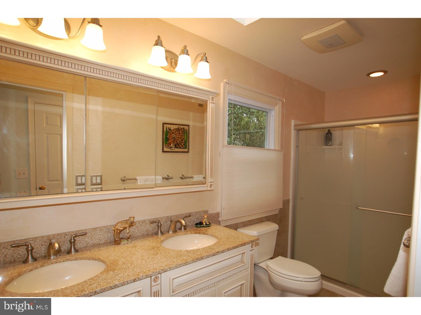116 Country Flower Road Newark, DE 19711 - Photo 14 of 23 Master Bathroom