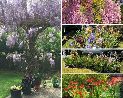 $699,500 | 14027 Southeast 281st Street, Kent, WA 98042