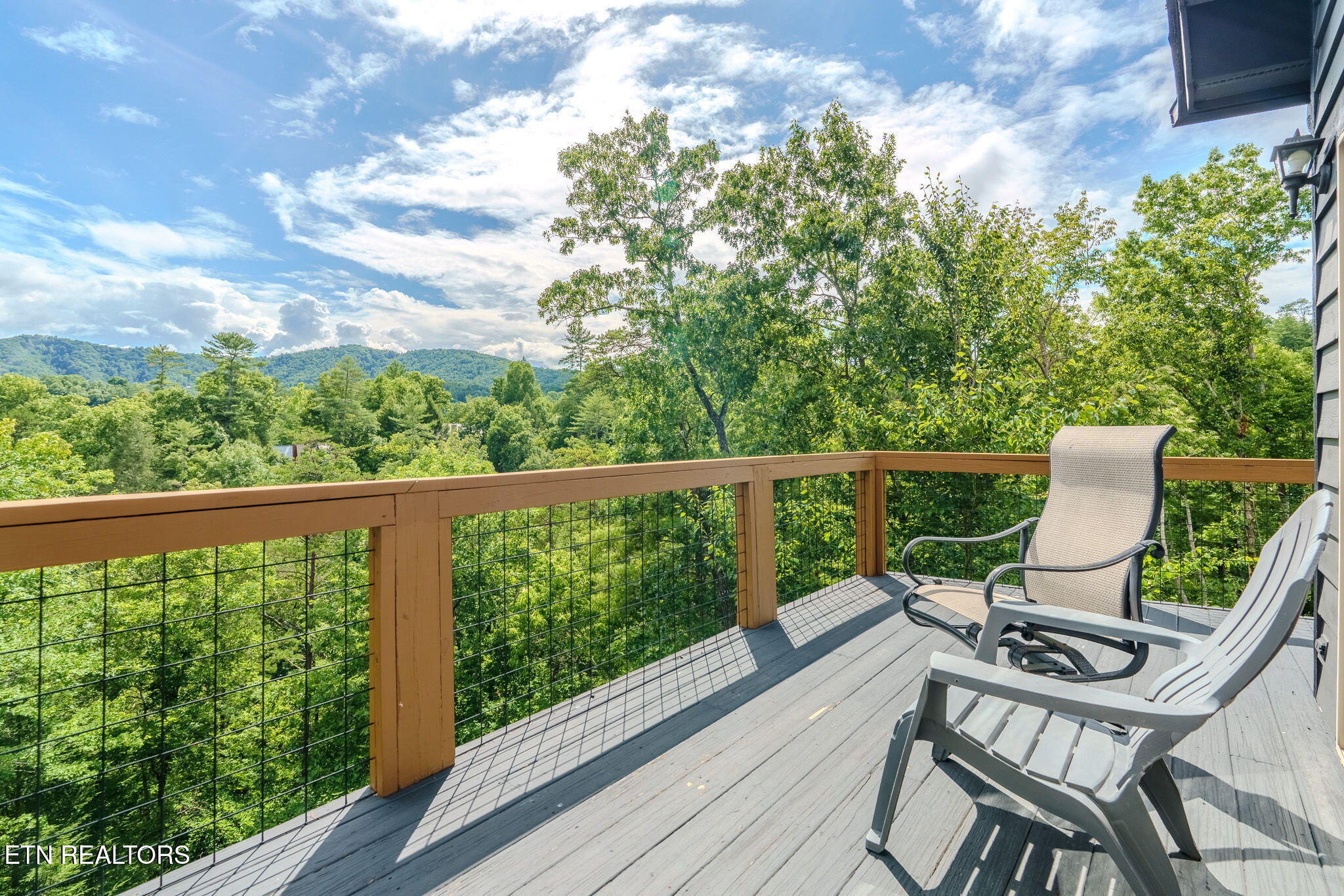 209 Cutter Gap Road Townsend, TN 37882 - Photo 10 of 40 34-web-or-mls-209-cutter-gap-rd