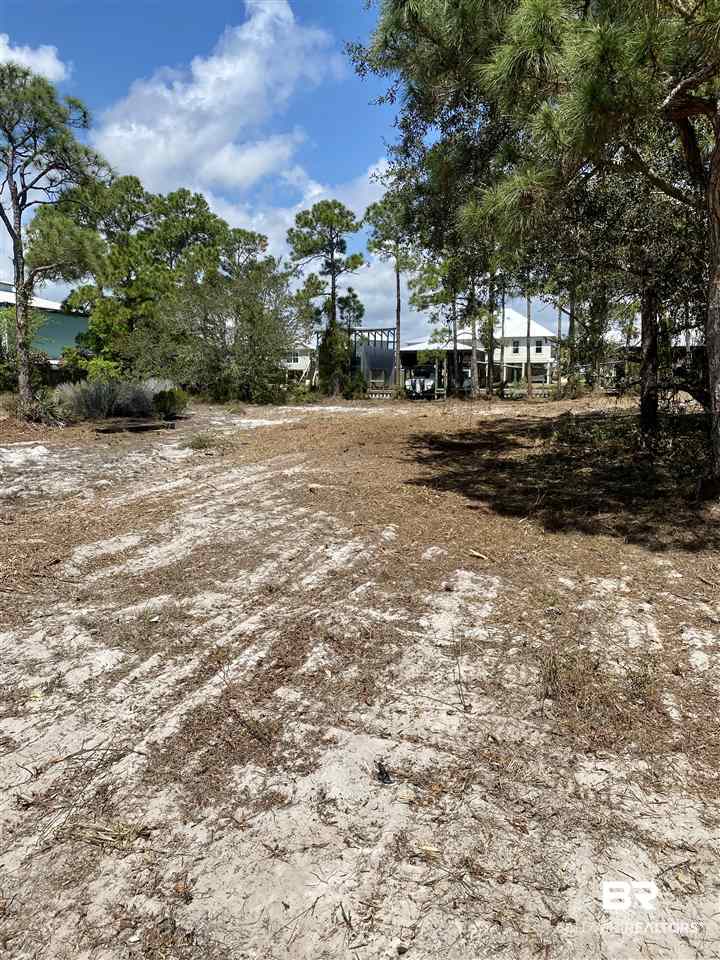 0 Marina Road Orange Beach, AL 36561 - Photo 4 of 9