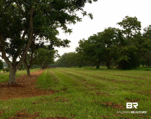 0 West Underwood Road West Summerdale, AL 36580 - Photo 1 of 27 Gallery Image 1