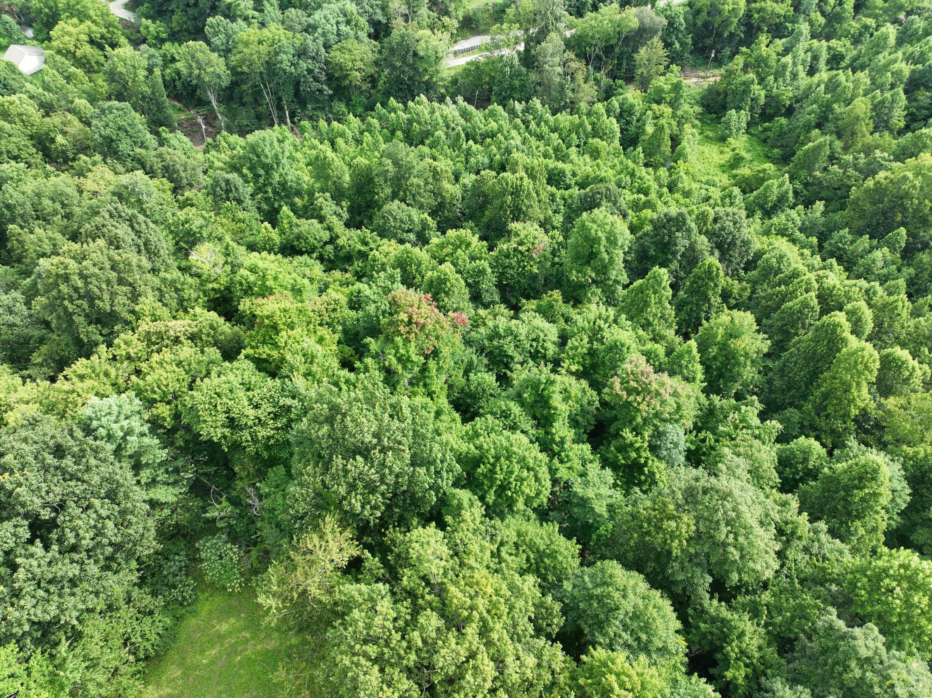 9998 Hurst School Road McKee, KY 40447 - Photo 5 of 15 DJI_0545