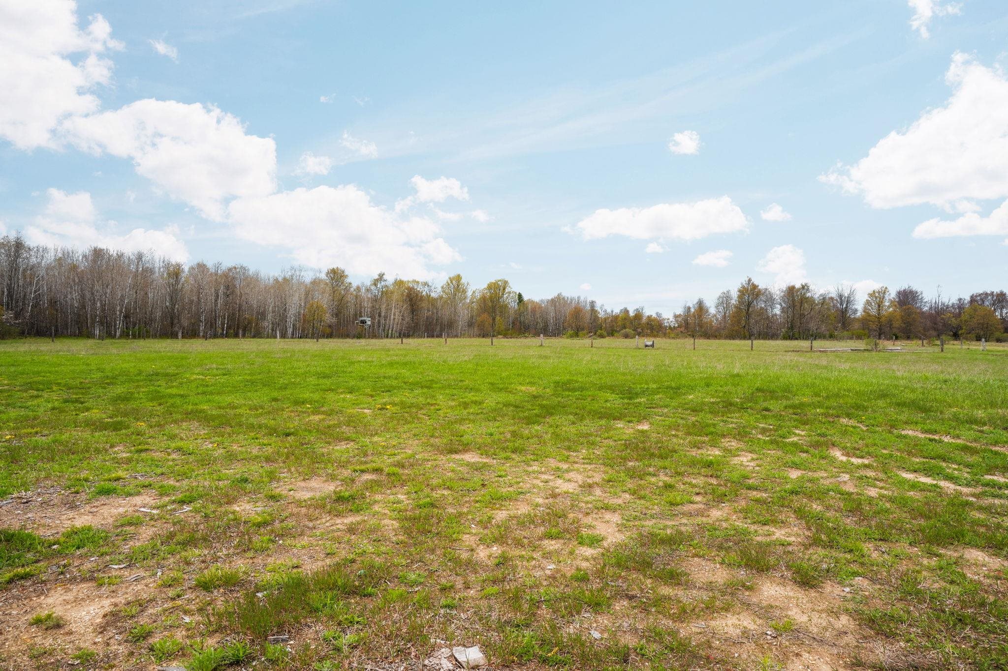 3976 Irvin Road Kingsley, MI 49649 - Photo 6 of 68