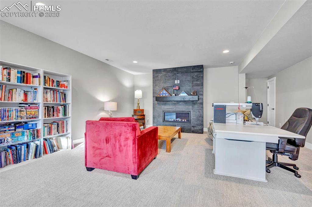 2402 Parma Court Colorado Springs, CO 80921 - Photo 31 of 45 a living room with fireplace furniture and a book shelf