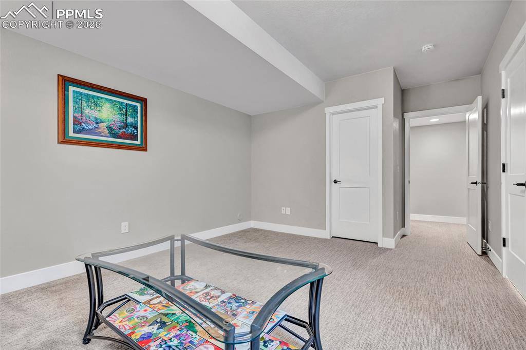 2402 Parma Court Colorado Springs, CO 80921 - Photo 40 of 45 an empty room with mirror and furniture
