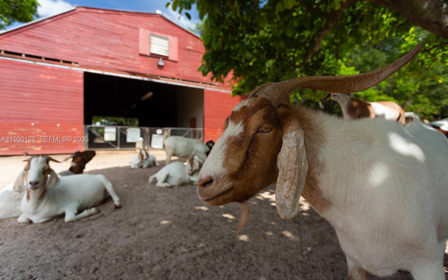 895 West 79th Place Hialeah, FL 33014 - Photo 33 of 38