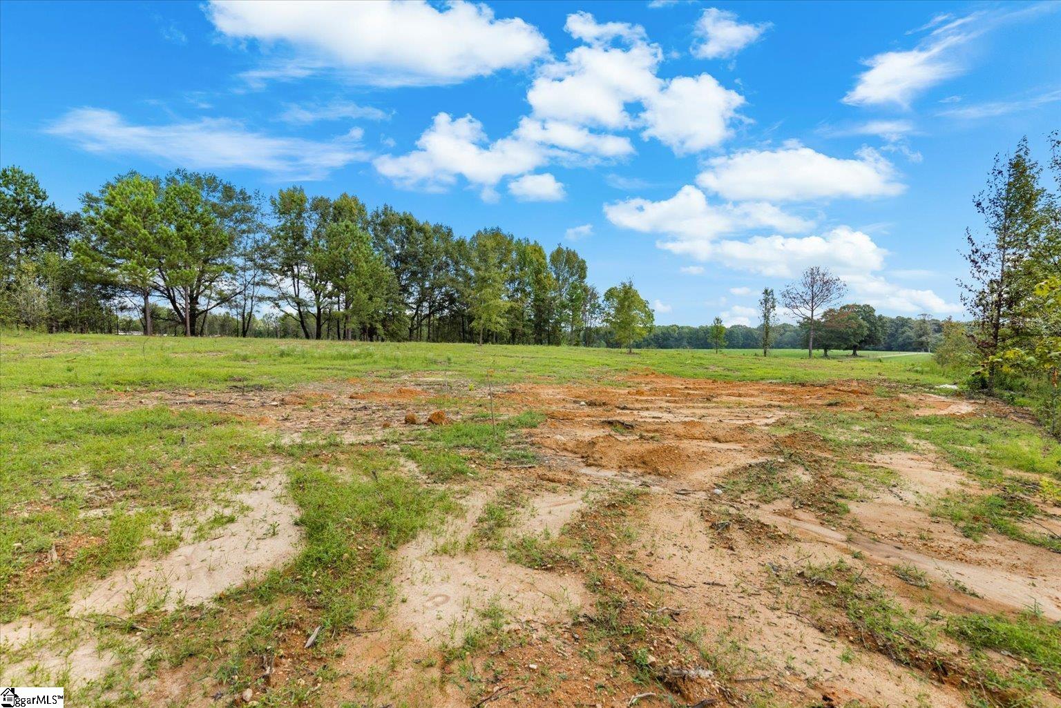 0 Settle Road Inman, SC 29349 - Photo 11 of 18