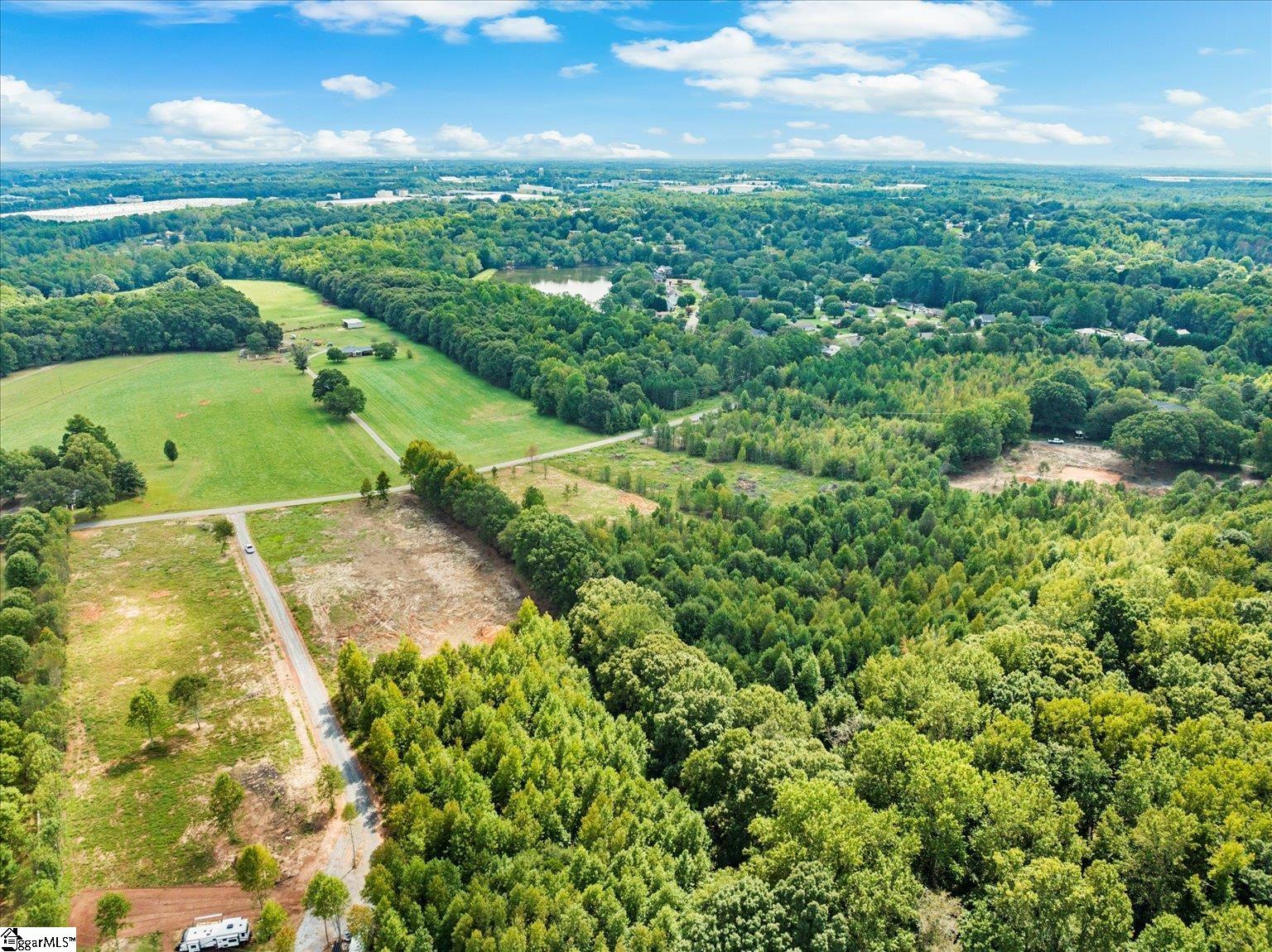 0 Settle Road Inman, SC 29349 - Photo 12 of 18