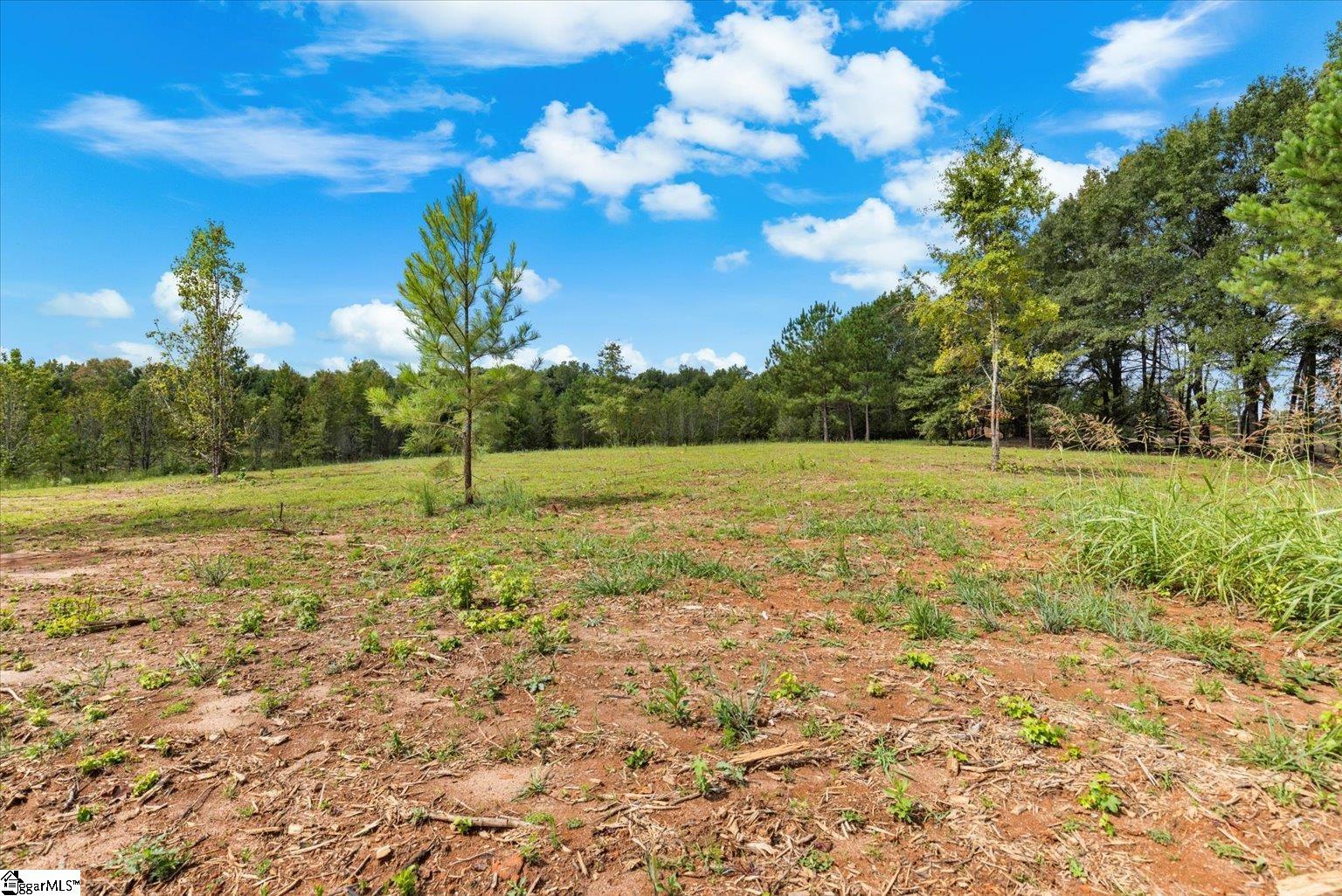 0 Settle Road Inman, SC 29349 - Photo 16 of 18