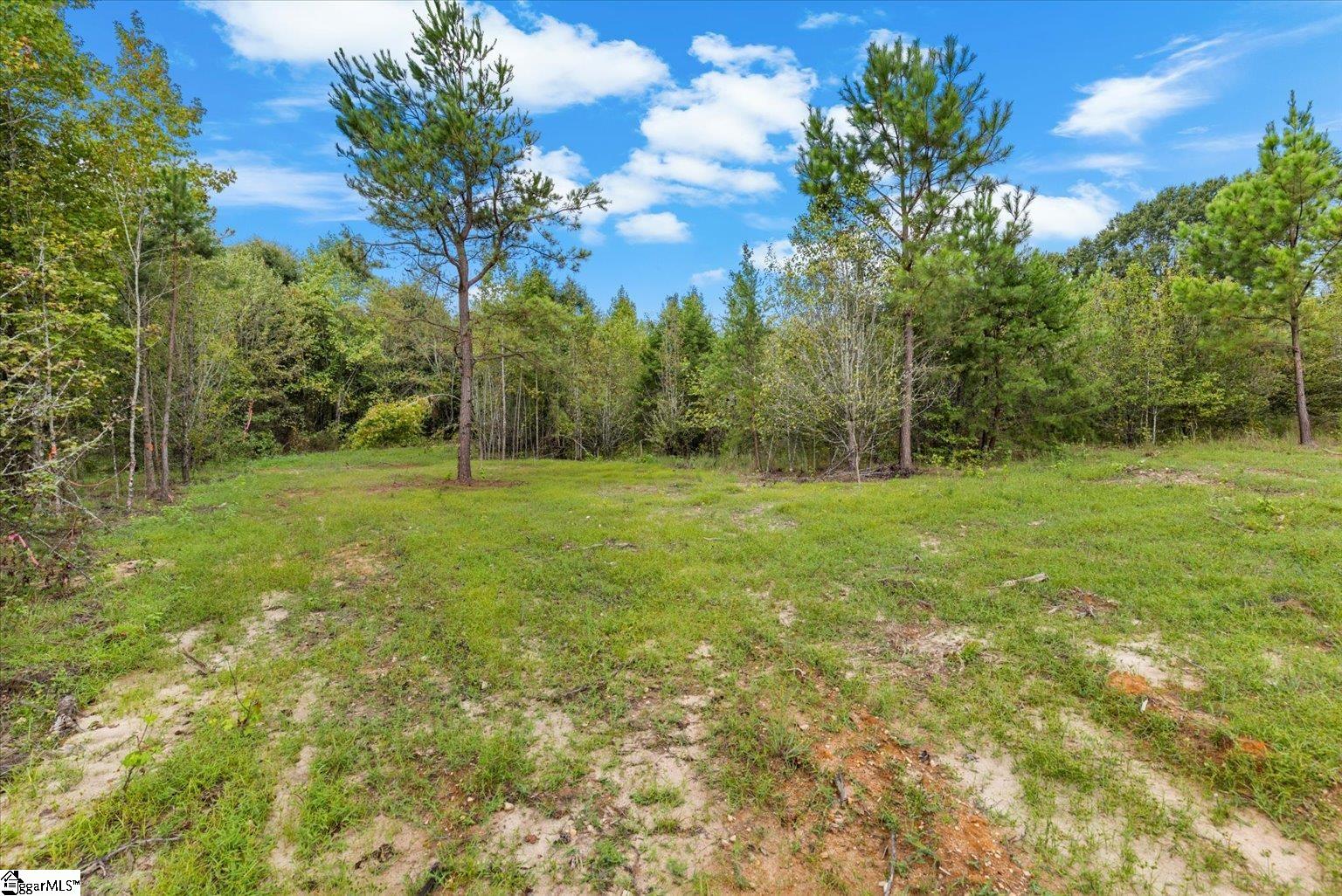 0 Settle Road Inman, SC 29349 - Photo 17 of 18