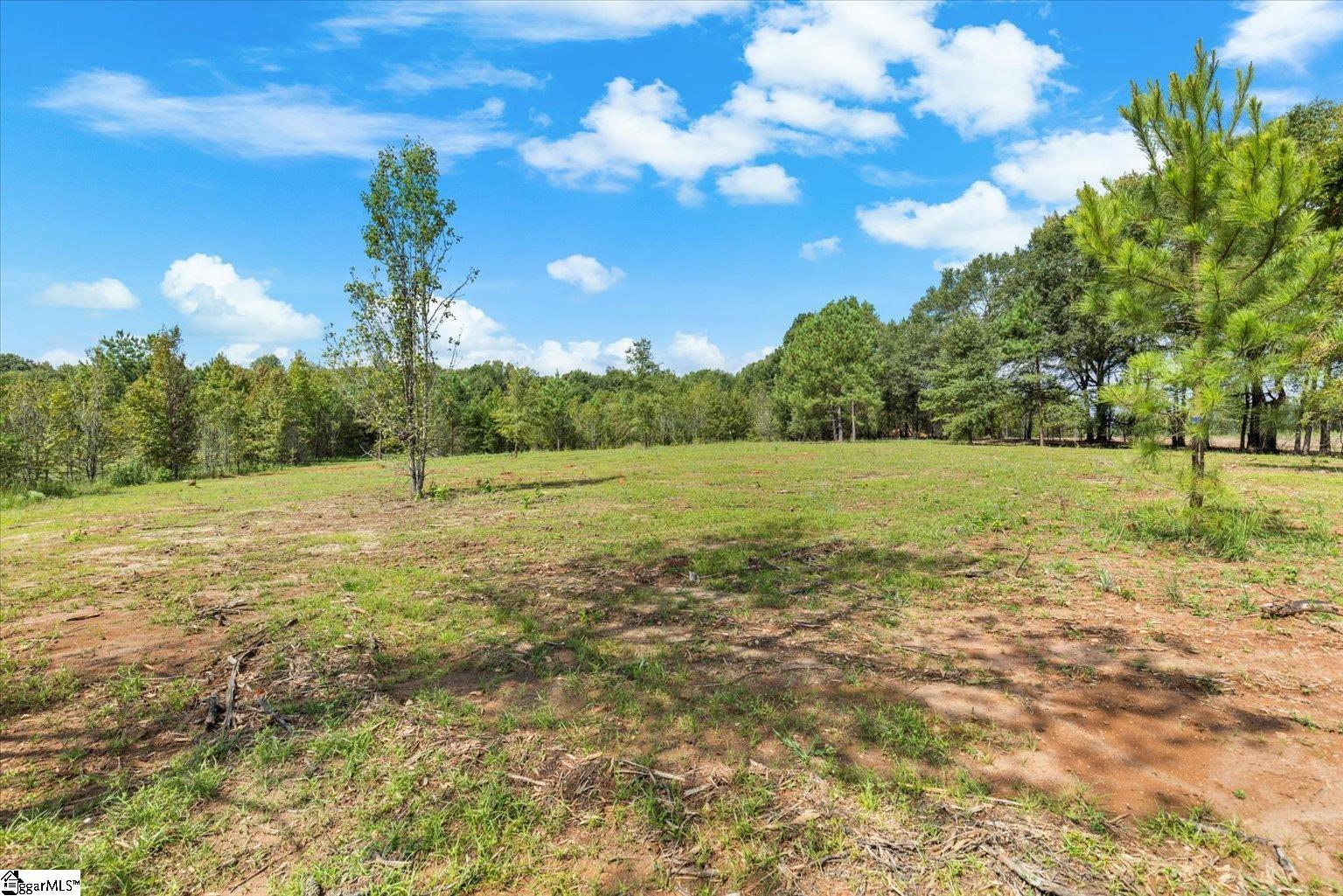 0 Settle Road Inman, SC 29349 - Photo 3 of 18