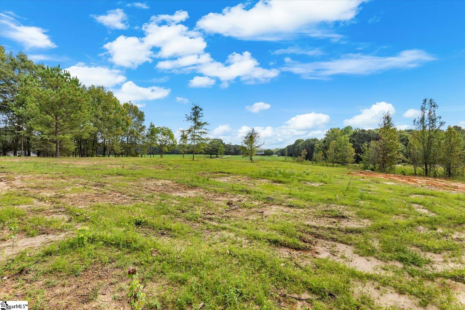 0 Settle Road Inman, SC 29349 - Photo 4 of 18