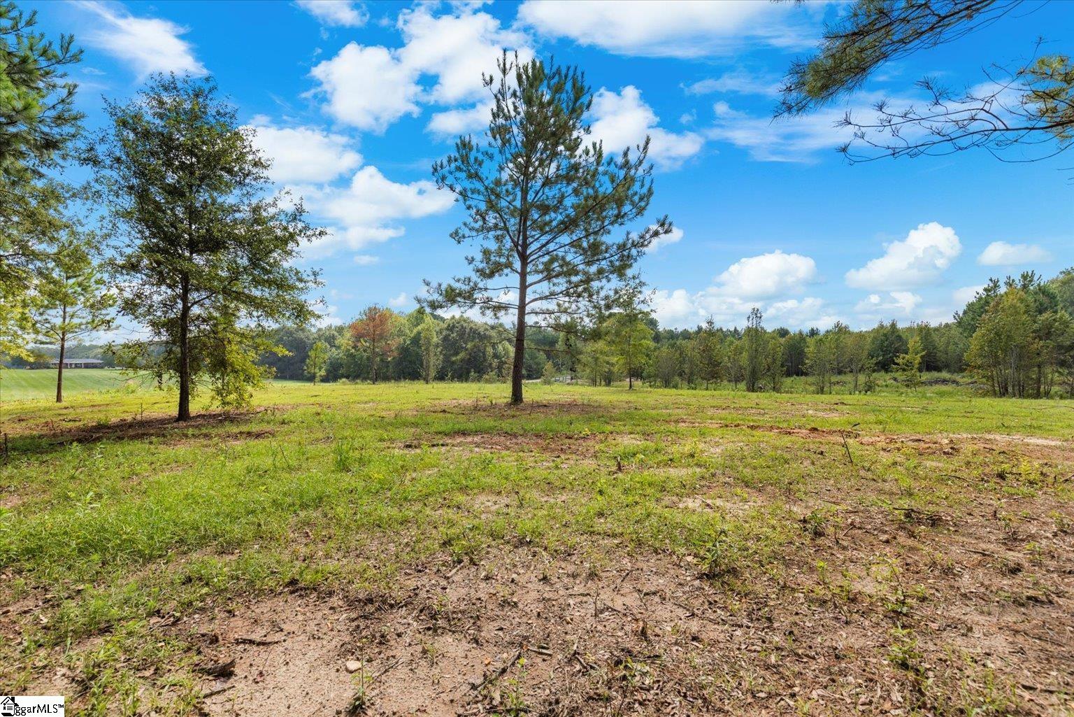 0 Settle Road Inman, SC 29349 - Photo 6 of 18