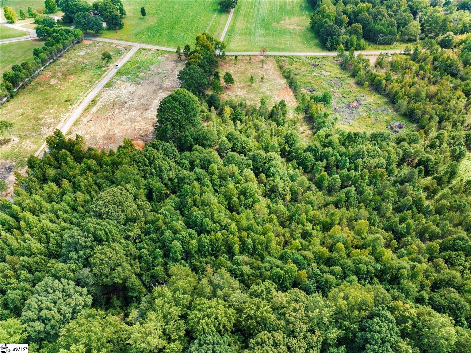 0 Settle Road Inman, SC 29349 - Photo 8 of 18