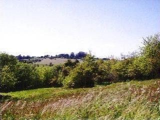 1735 Sanders Road Sebastopol, CA 95472 - Photo 1 of 4 a view of a yard with a tree