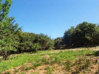 1735 Sanders Road Sebastopol, CA 95472 - Photo 3 of 4 a view of outdoor space and yard