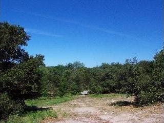 1735 Sanders Road Sebastopol, CA 95472 - Photo 4 of 4 a view of a forest