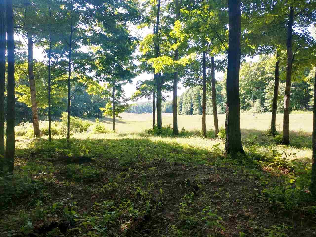 4 Heather Ridge Trail Beulah, MI 49617 - Photo 3 of 10