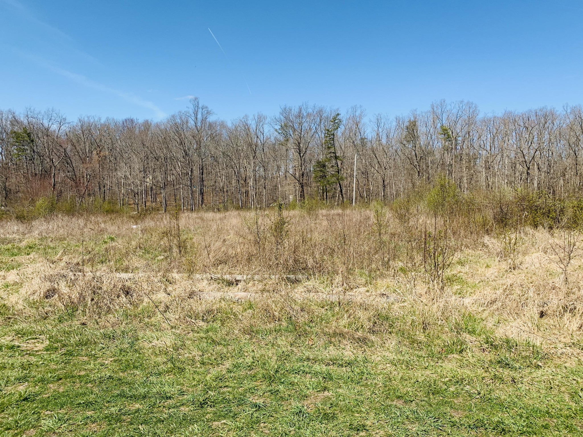 1335 Franklin Loop Clarkrange, TN 38553 - Photo 26 of 31 Gallery Image 26