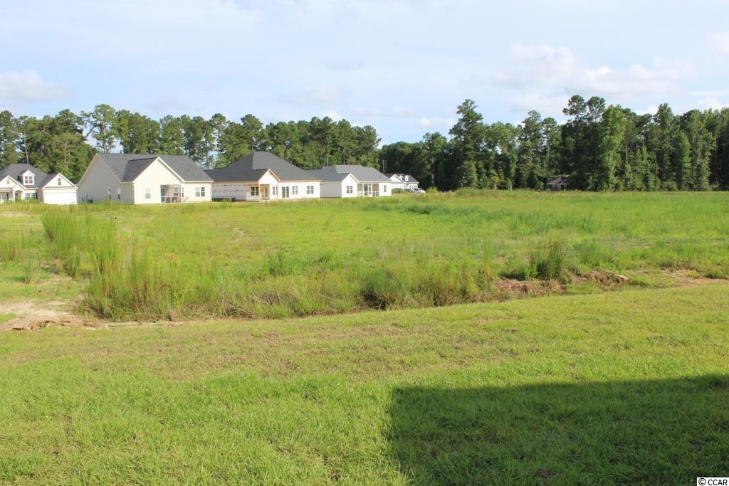 561 Whiddy Loop Conway, SC 29526 - Photo 21 of 33 Gallery Image 21