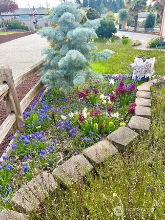 a view of a yard with flower plants