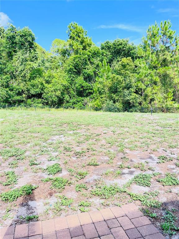 3485 Middlebrook Place Harmony, FL 34773 - Photo 23 of 44