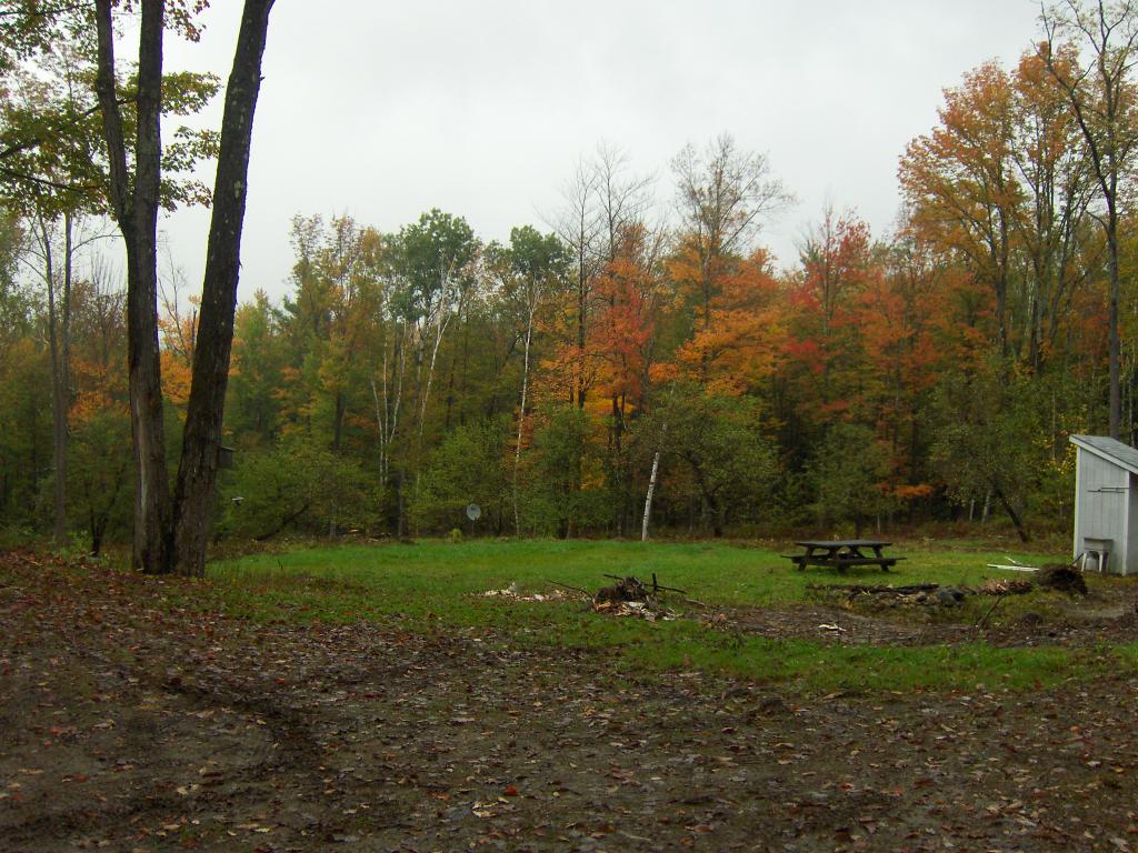 1182 Hall Ranch Road Grafton, VT 05146 - Photo 12 of 15