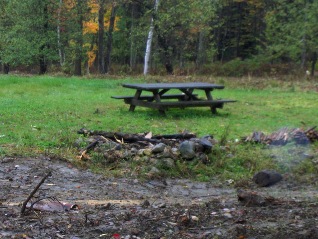 1182 Hall Ranch Road Grafton, VT 05146 - Photo 13 of 15