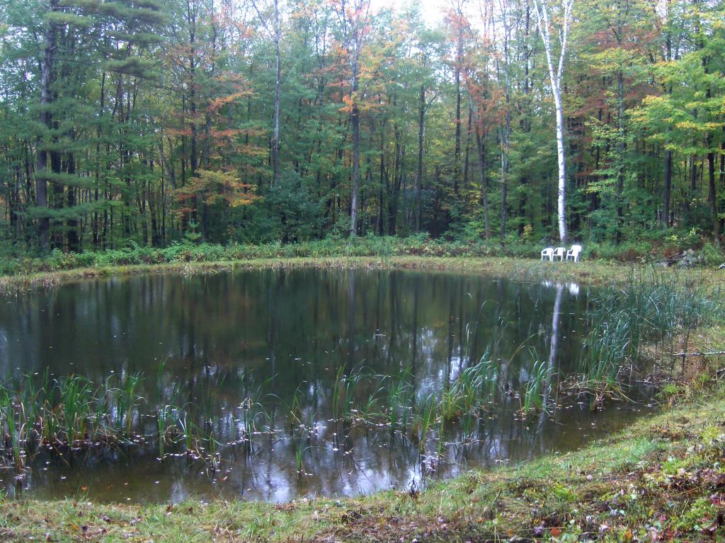 1182 Hall Ranch Road Grafton, VT 05146 - Photo 14 of 15