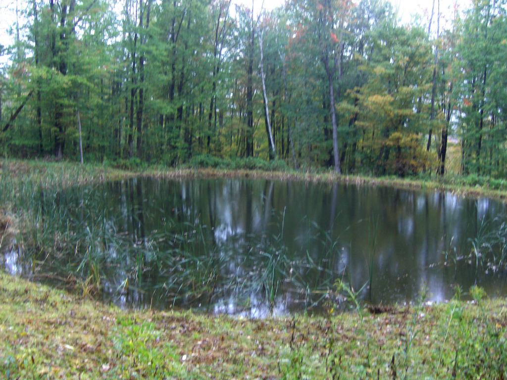 1182 Hall Ranch Road Grafton, VT 05146 - Photo 15 of 15