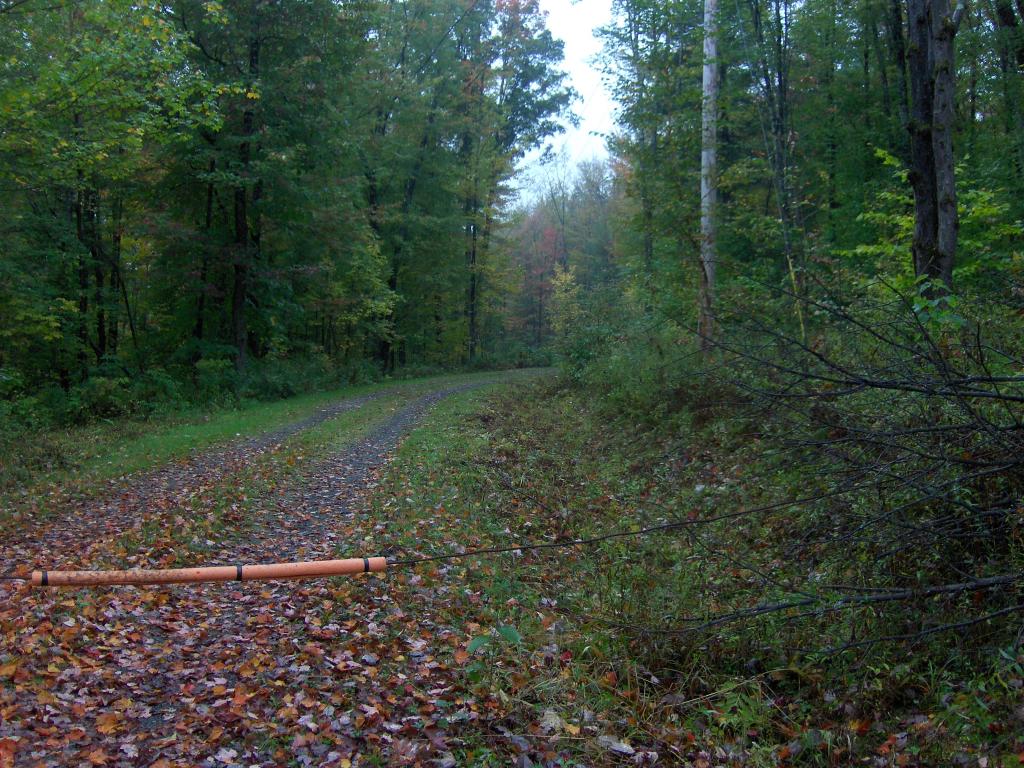 1182 Hall Ranch Road Grafton, VT 05146 - Photo 6 of 15