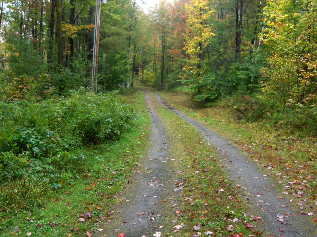 1182 Hall Ranch Road Grafton, VT 05146 - Photo 8 of 15