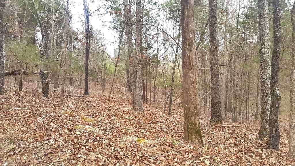 0 Son Moore Road Decatur, TN 37322 - Photo 6 of 8 Gallery Image 6