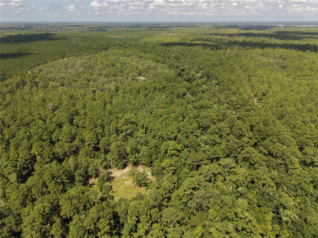 375 Buck Springs Road Palatka, FL 32177 - Photo 11 of 78 Gallery Image 11