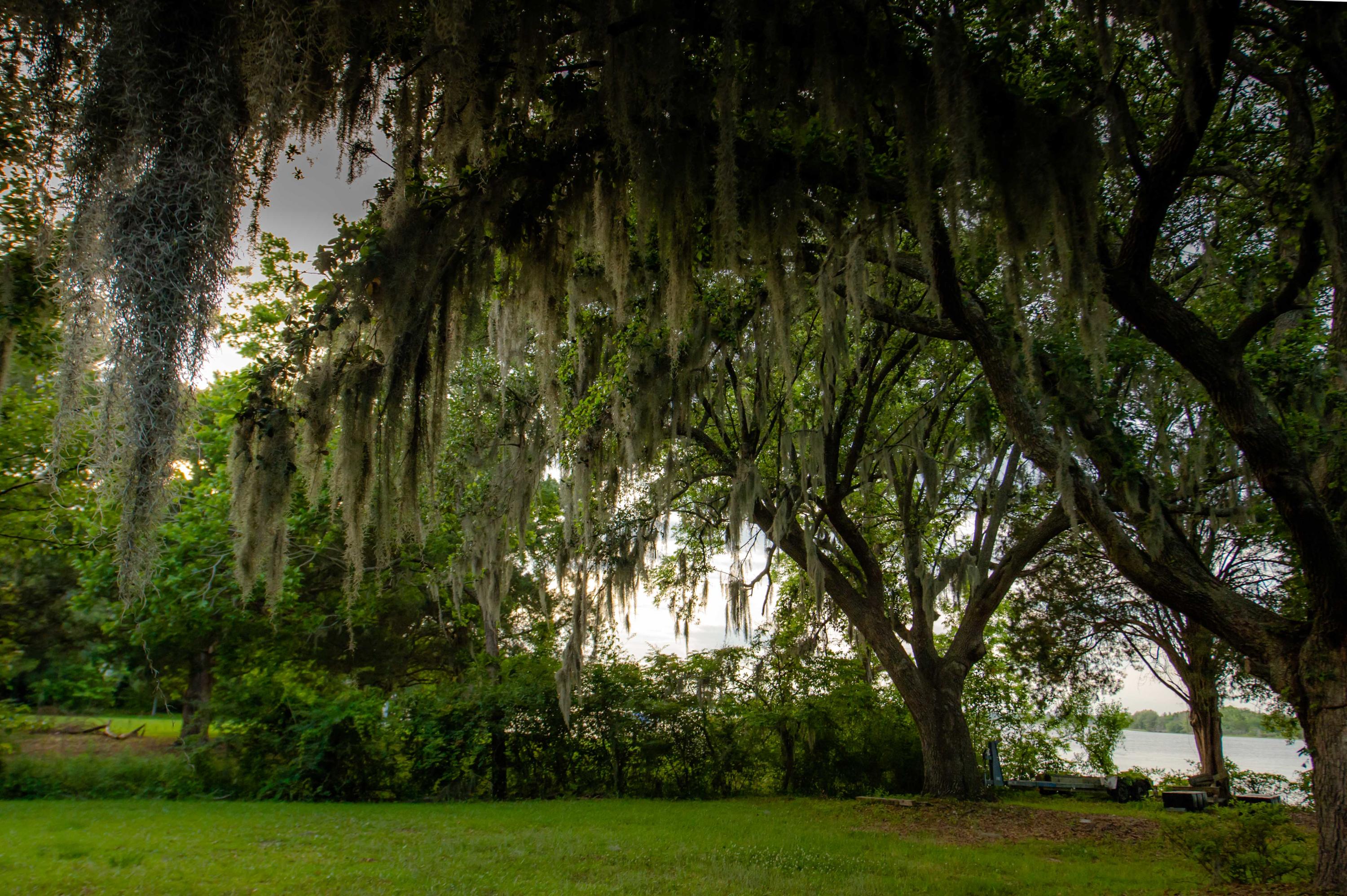 1107 River Road Johns Island, SC 29455 - Photo 16 of 31 1107 River Rd_Low Res-6