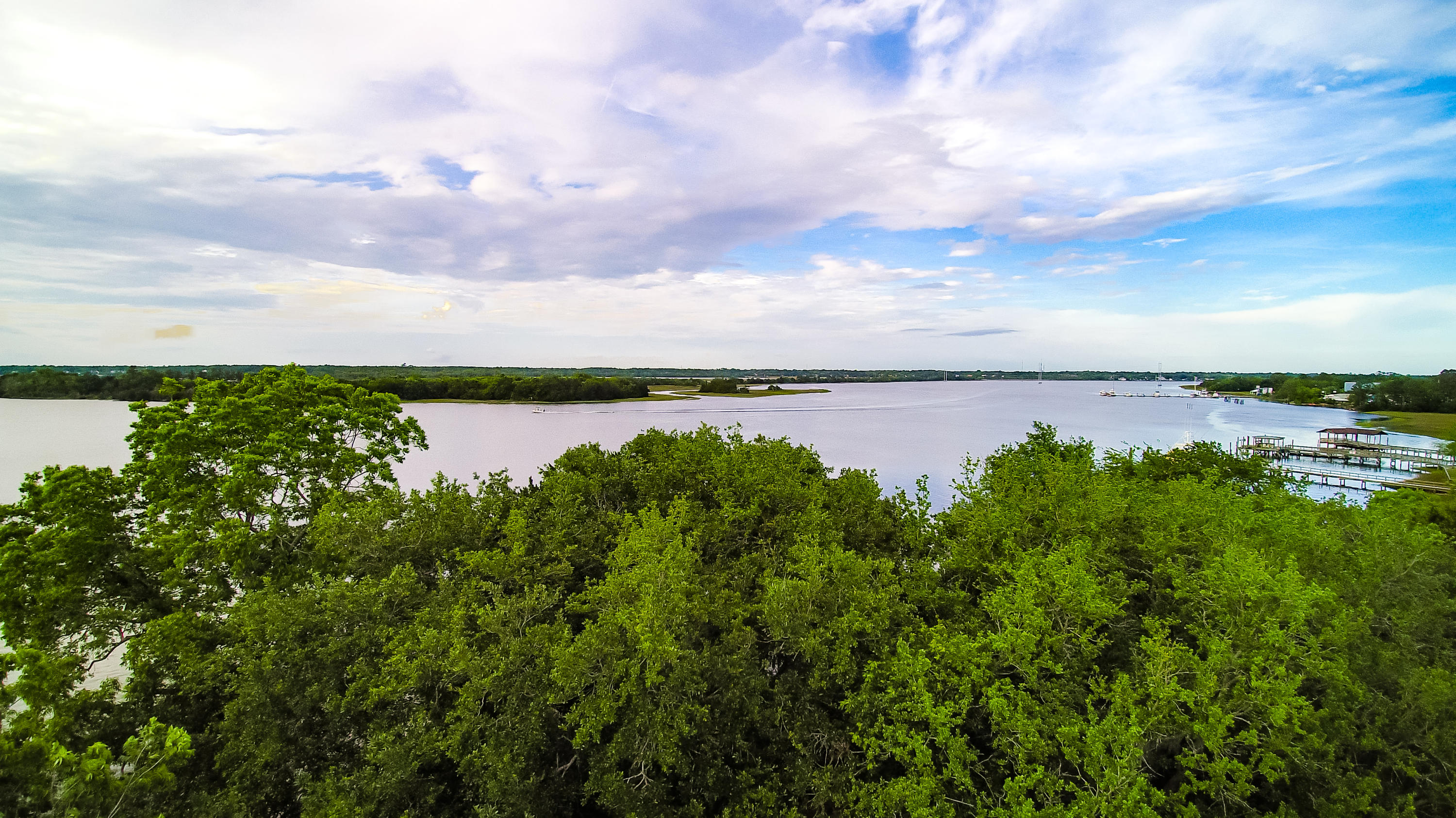 1107 River Road Johns Island, SC 29455 - Photo 7 of 31 1107 River Rd Drone-3