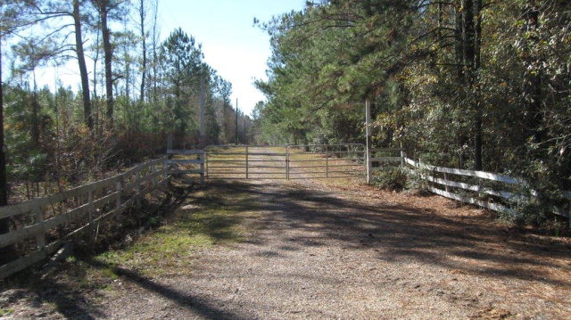 183 Old Settlement Road Tylertown, MS 39667 - Photo 1 of 1 Main View