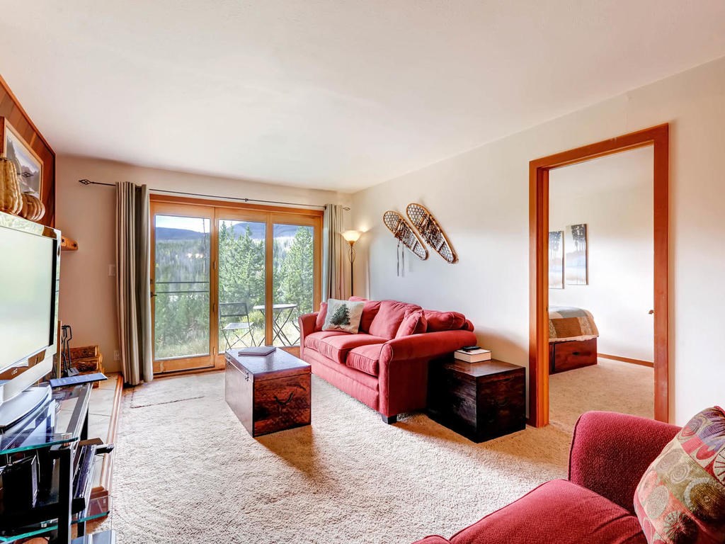 9490 Ryan Gulch Road, Unit 93 Silverthorne, CO 80498 - Photo 5 of 25 Gallery Image 5