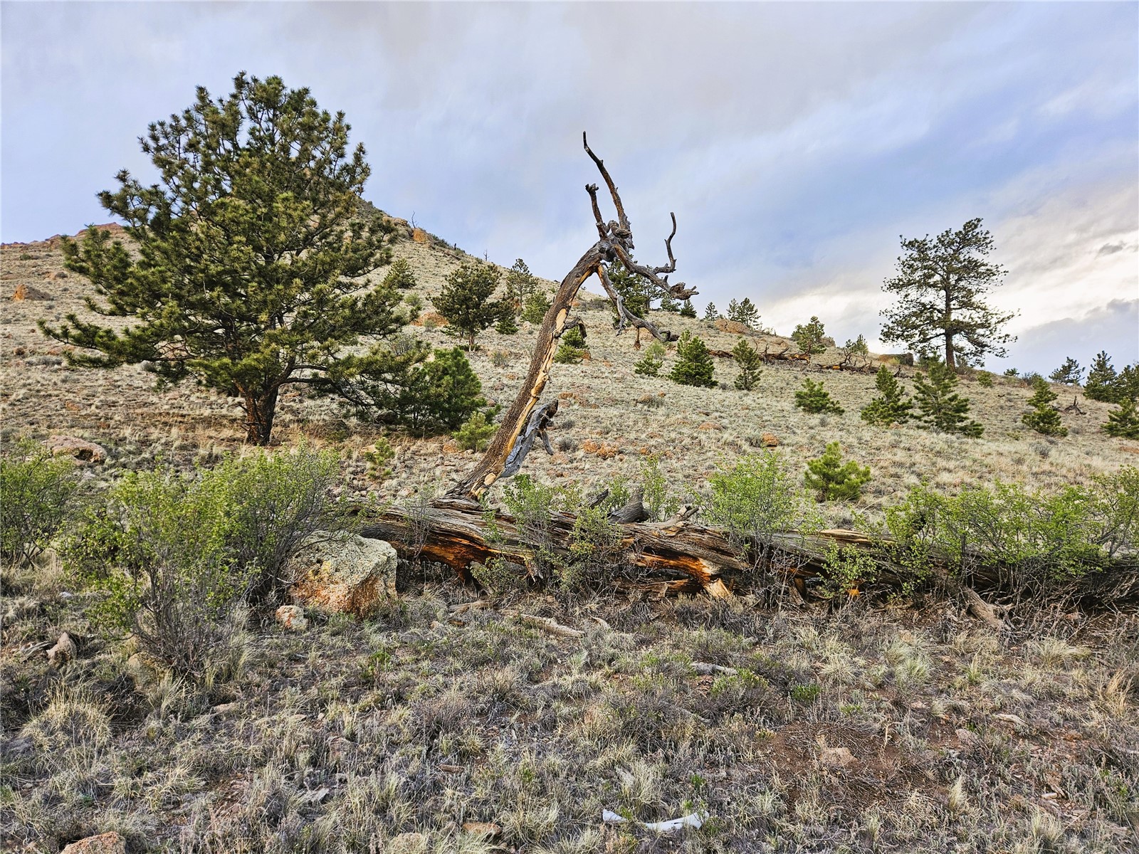 Pcs#25468 Sioux Road Hartsel, CO 80449 - Photo 2 of 23
