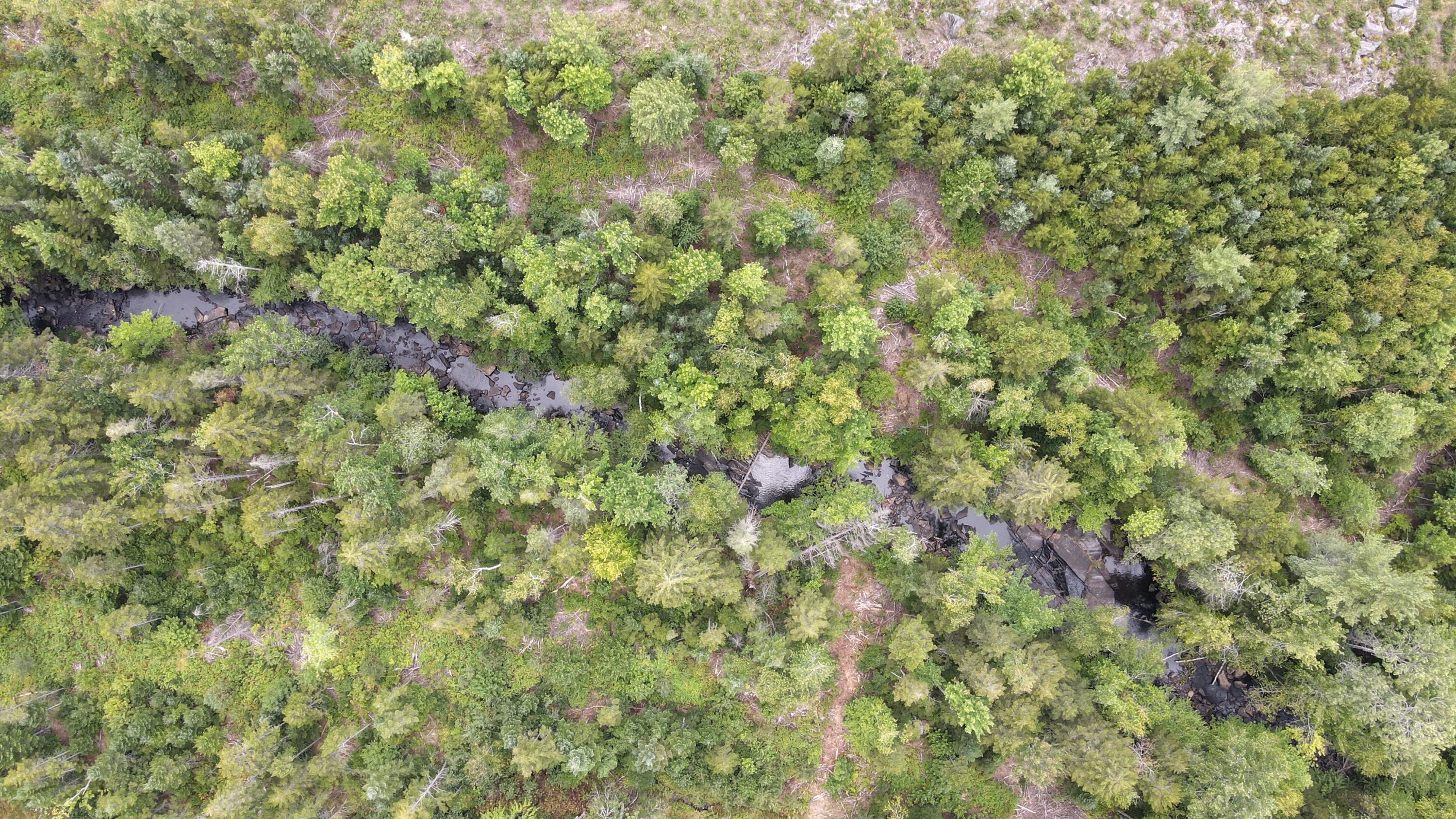 4 Map Sandy River Plt, ME 04970 - Photo 20 of 24 dji_fly_20260828_145310_311_178794320298