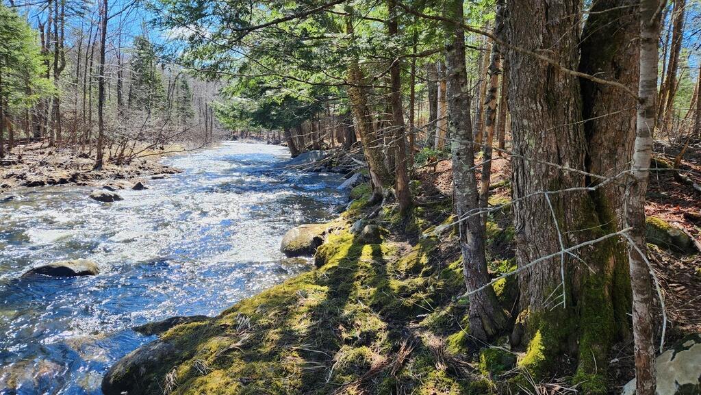 Lot 22 Weeks Mills Road New Sharon, ME 04955 - Photo 2 of 16 20240417_100608_resized