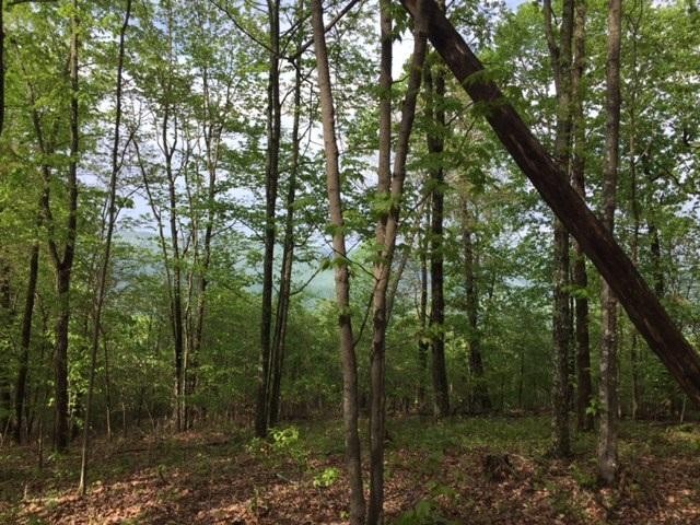 23 Jackson Point Road Sewanee, TN 37375 - Photo 1 of 10 Gallery Image 1