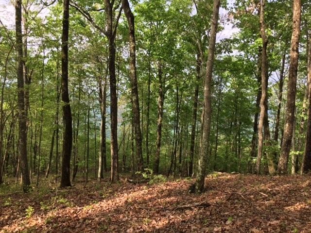 23 Jackson Point Road Sewanee, TN 37375 - Photo 3 of 10 Gallery Image 3