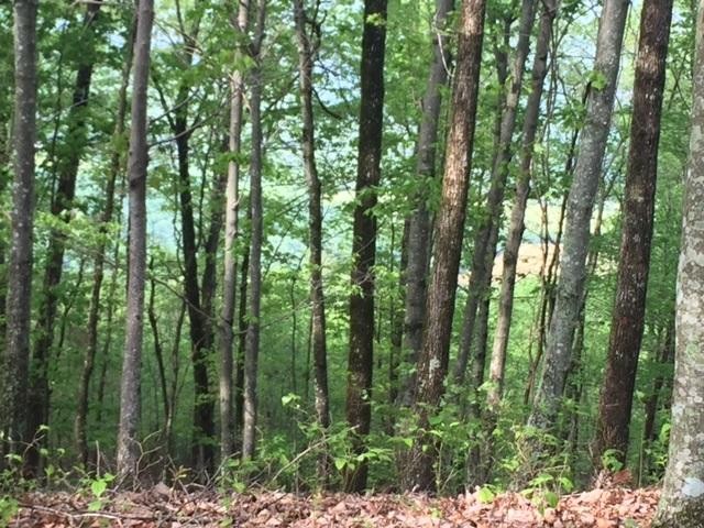 23 Jackson Point Road Sewanee, TN 37375 - Photo 5 of 10 Gallery Image 5