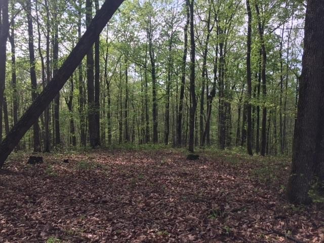 23 Jackson Point Road Sewanee, TN 37375 - Photo 6 of 10 Gallery Image 6