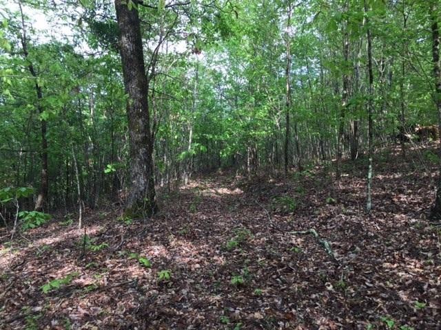 23 Jackson Point Road Sewanee, TN 37375 - Photo 8 of 10 Gallery Image 8