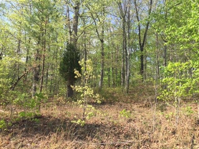 23 Jackson Point Road Sewanee, TN 37375 - Photo 9 of 10 Gallery Image 9