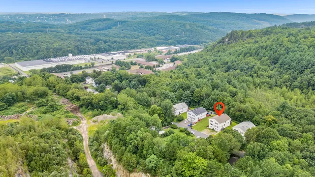 a view of a lush green forest with trees and some houses